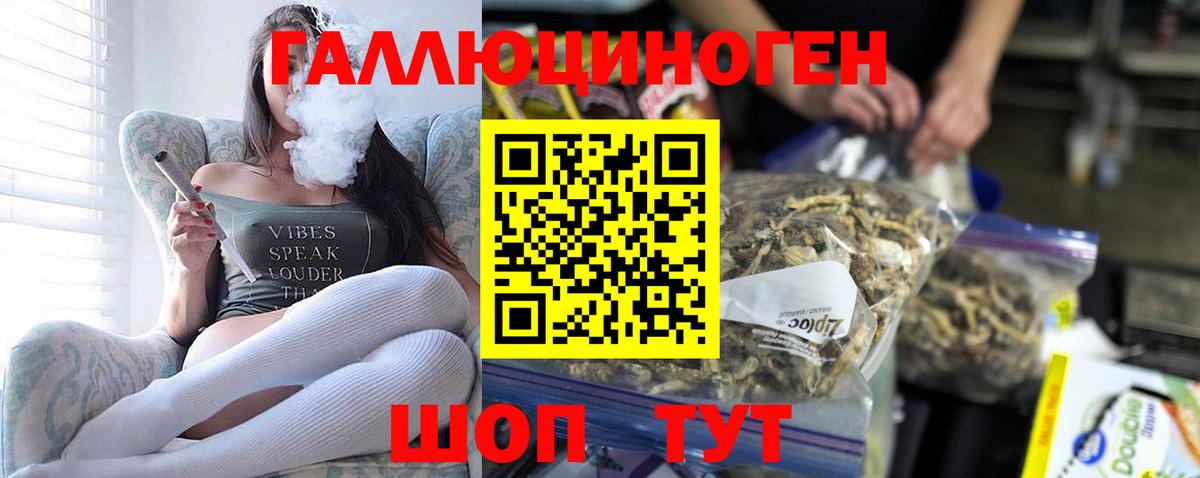 Галлюциногенные грибы Magic Shrooms  где найти   Зерноград  Вход с VPN  Галлюциногенные грибы ЛСД 
