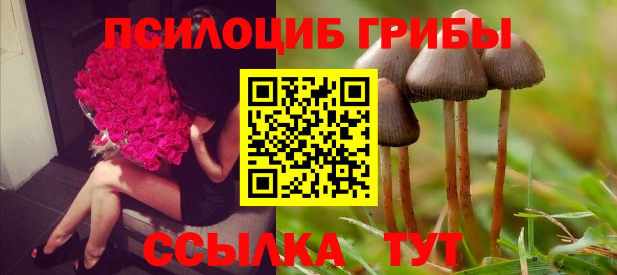 Галлюциногенные грибы прущие грибы Зерноград
